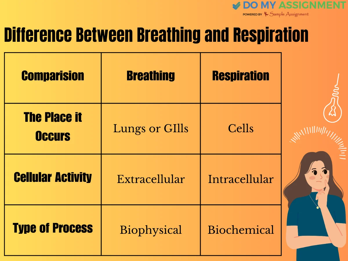 difference between respiration and breathing